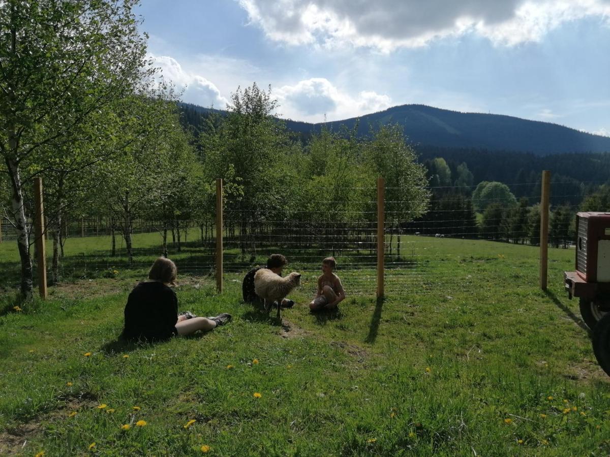 Gosciniec Janowa Gora - Agroturystyka Строне-Слёнске Экстерьер фото