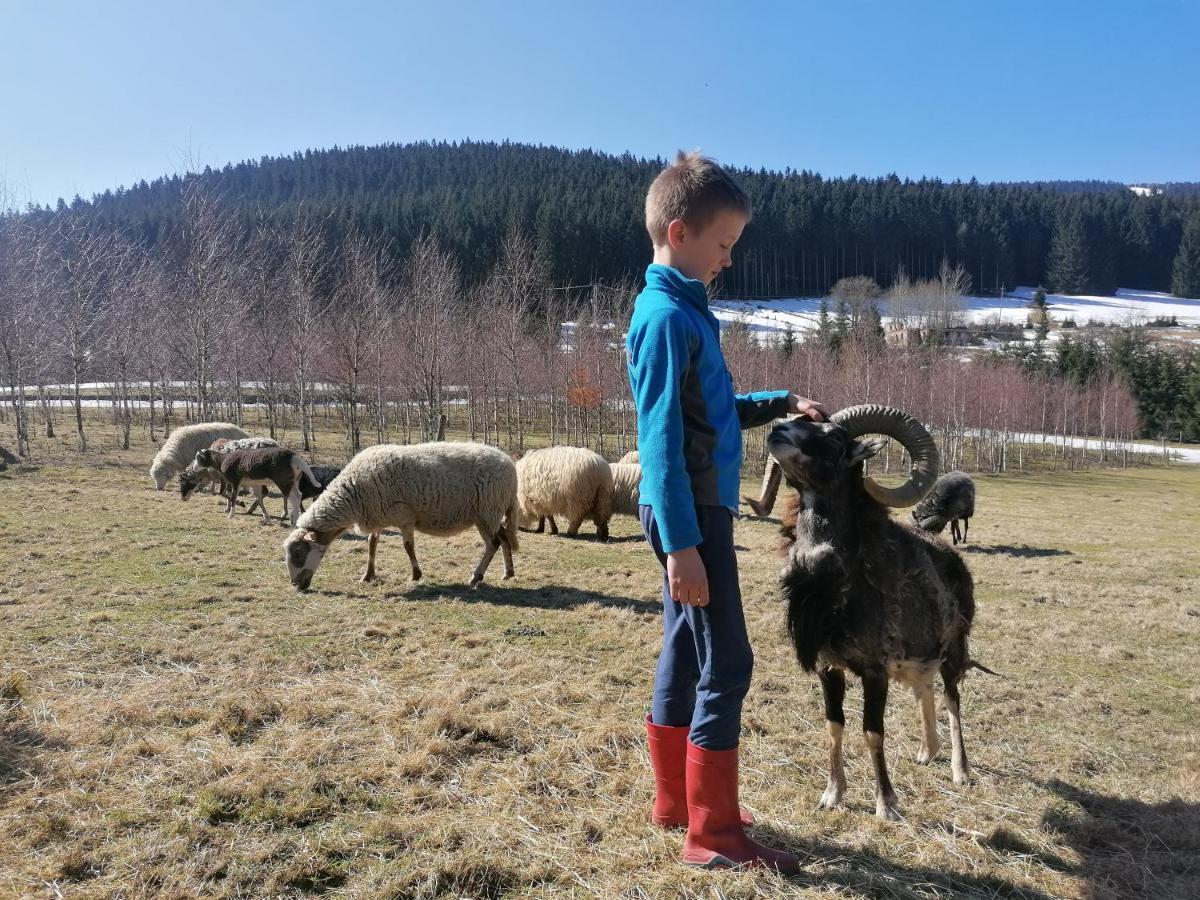 Gosciniec Janowa Gora - Agroturystyka Строне-Слёнске Экстерьер фото