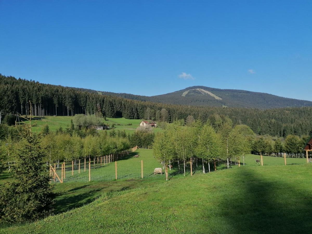 Gosciniec Janowa Gora - Agroturystyka Строне-Слёнске Экстерьер фото